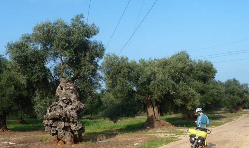 Lettera aperta di FIAB al Governatore della Puglia Michele Emiliano