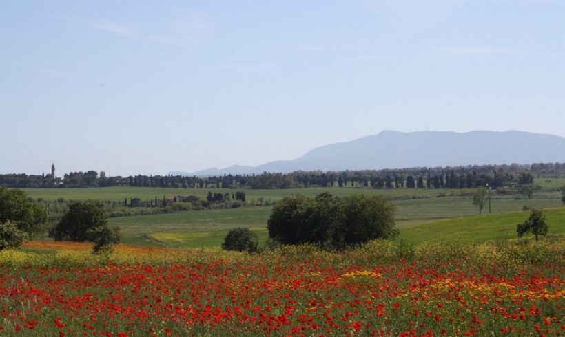 La Costa d’Argento: il viaggio di Fiab fra colline e lagune