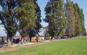 FIAB - Federazione Italiana Ambiente e Bicicletta