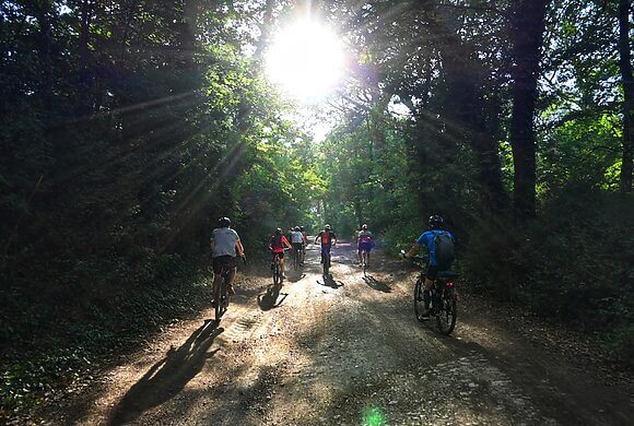 Italia, il mercato del cicloturismo pedala veloce verso 11 miliardi: FIAB sostiene la crescita e contrasta l’overtourism con un portale tutto nuovo