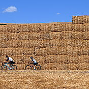 Fare cicloturismo in Basilicata. “Una terra delicata e gentile. Qui le vacanze in bici sono una risposta all’overtourism”