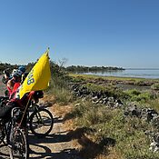 Tra Avignone e Arles sulle tracce di van Gogh. Il diario del Biciviaggio FIAB in Francia